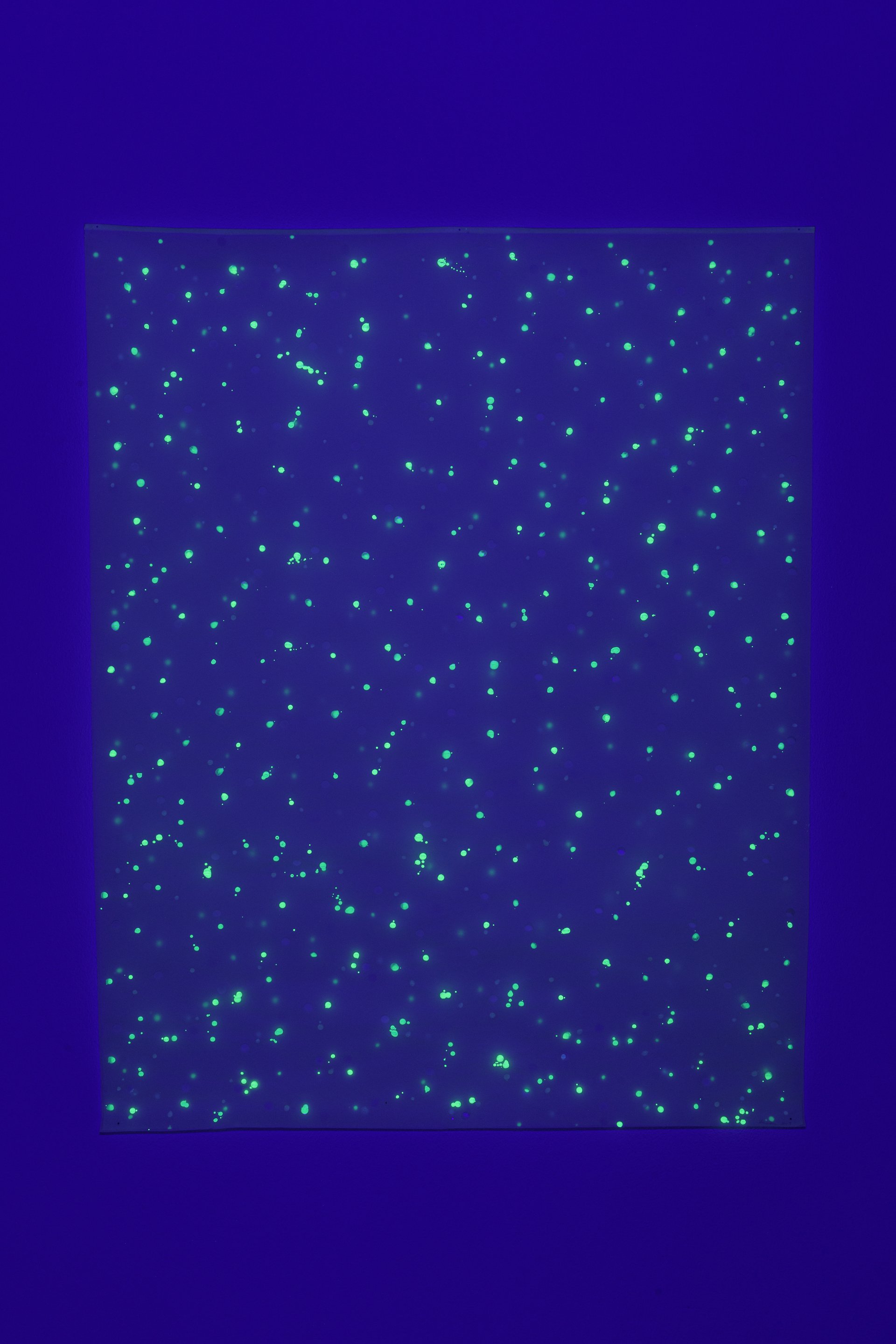 view of installation under black light: &quot;schwerelos II&quot; (2003), lumilux pigments on transparent paper, 152 x 120 cm