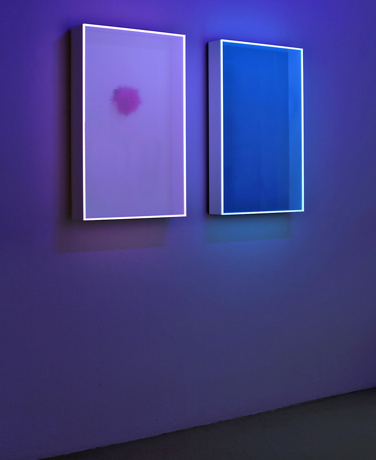 regine schumann